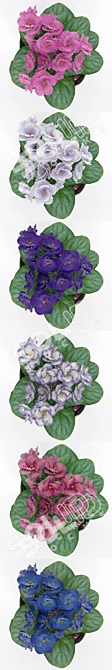 Vibrant Violet Blooms 3D model image 2