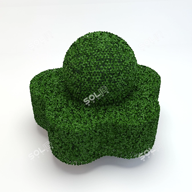 Formed Bush: Stylish and Structured 3D model image 1