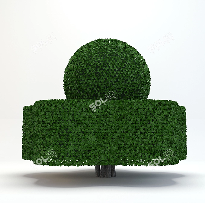 Formed Bush: Stylish and Structured 3D model image 2