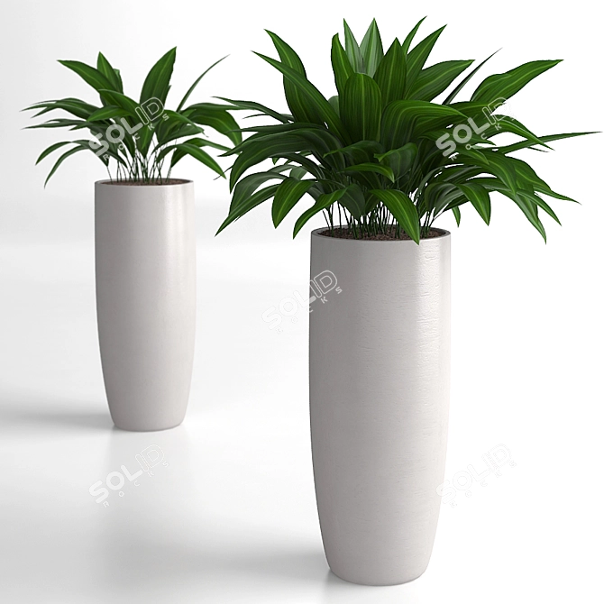 Elegant Aspidistra Plant Duo 3D model image 2