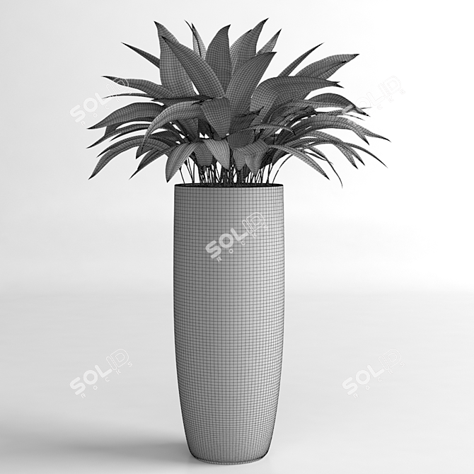 Elegant Aspidistra Plant Duo 3D model image 3