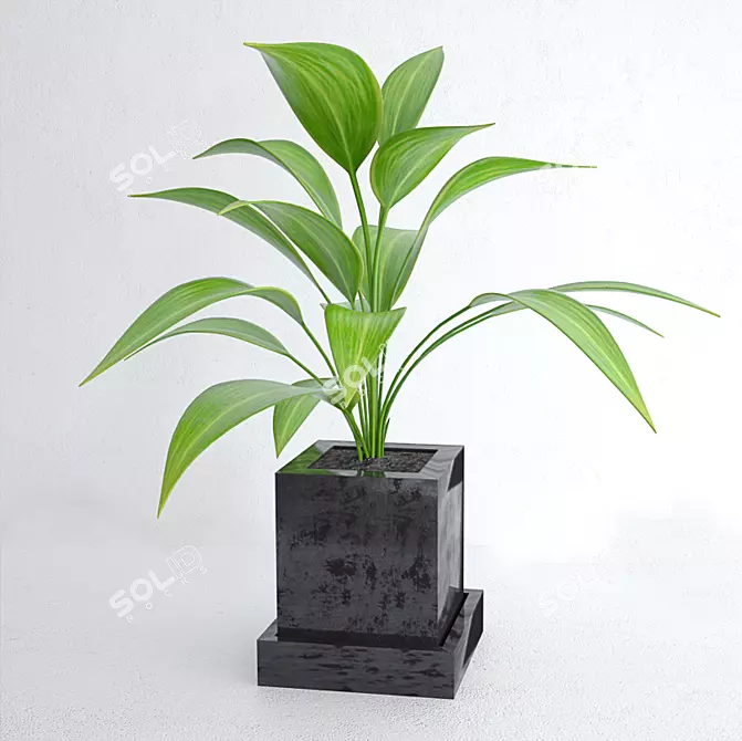 Title: Leafy Delight: Indoor Pot Plant 3D model image 1