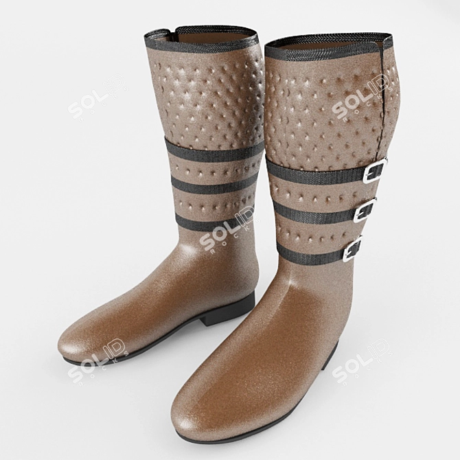 Sleek Equestrian Boots - 3dsMax 2014, FBX, OBJ 3D model image 1