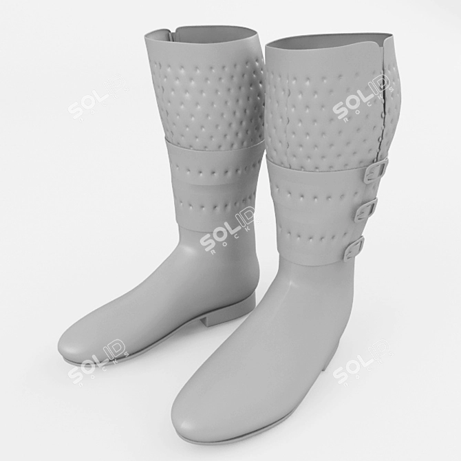 Sleek Equestrian Boots - 3dsMax 2014, FBX, OBJ 3D model image 2