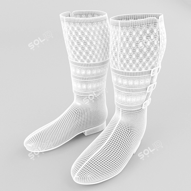 Sleek Equestrian Boots - 3dsMax 2014, FBX, OBJ 3D model image 3