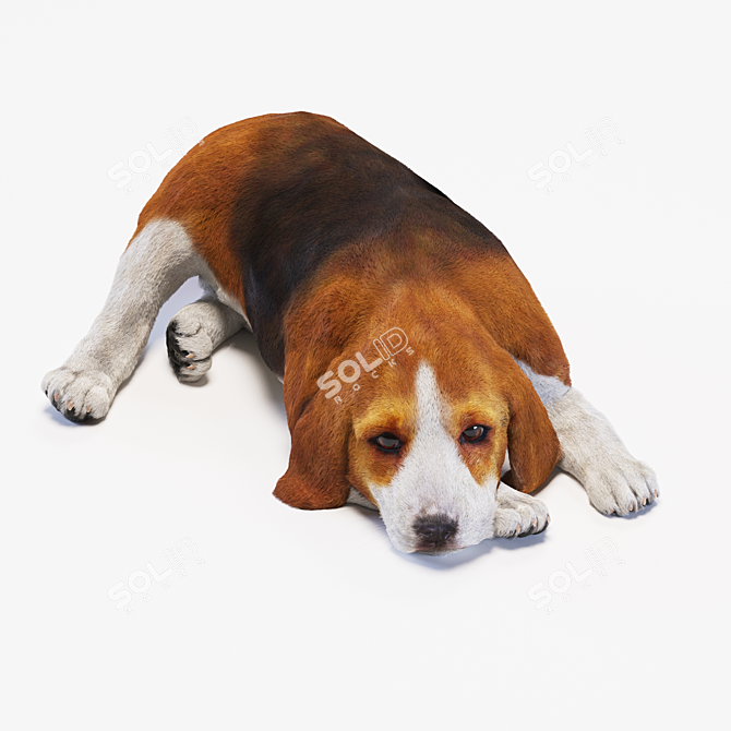 Adorable Beagle Puppy Sculpture 3D model image 1