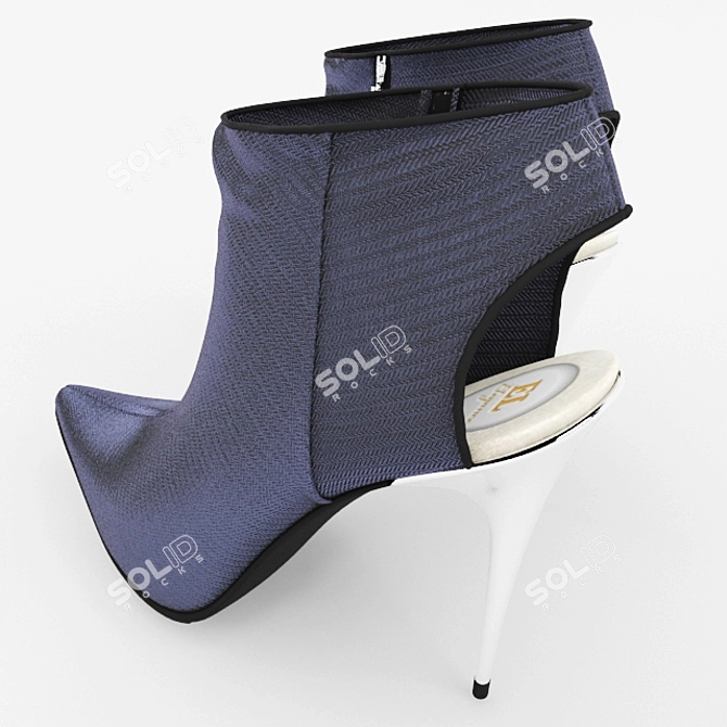 Elegant Boots: 3dsMax - FBX - OBJ Formats 3D model image 2