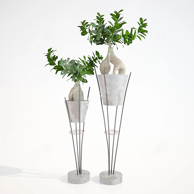 Ginseng Ficus: Bonsai with a Twist 3D model image 1
