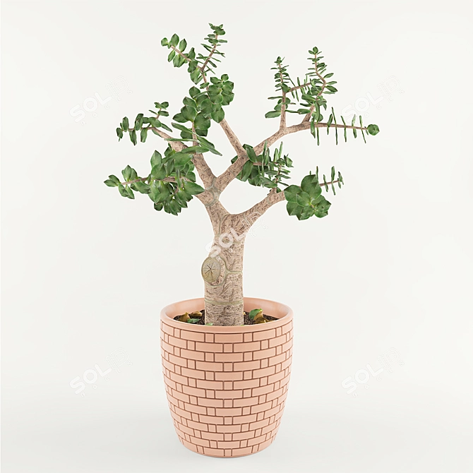 Title: Tropical Jade Money Tree 3D model image 1