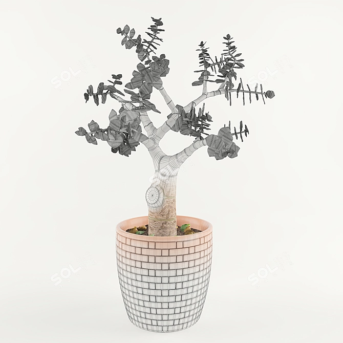 Title: Tropical Jade Money Tree 3D model image 2