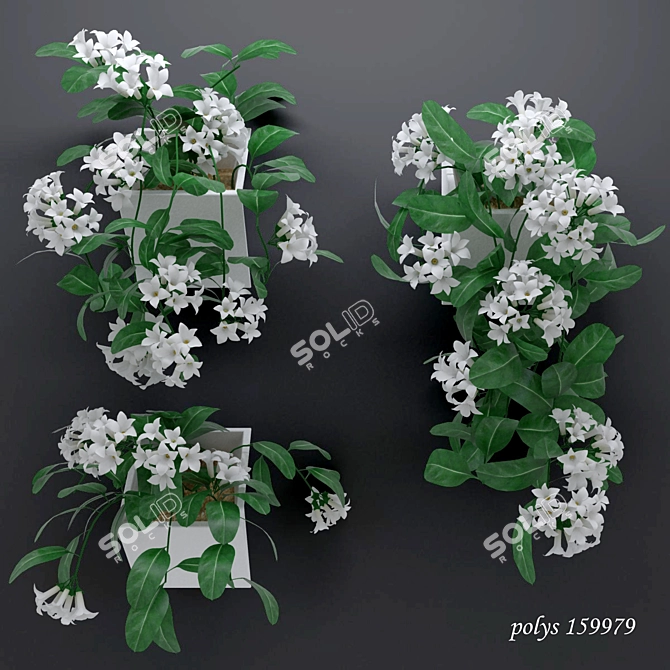 Madagascar Jasmine: Lush Blooming Vine 3D model image 1