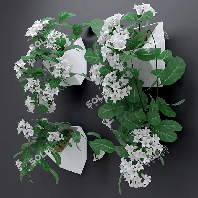 Madagascar Jasmine: Lush Blooming Vine 3D model image 2