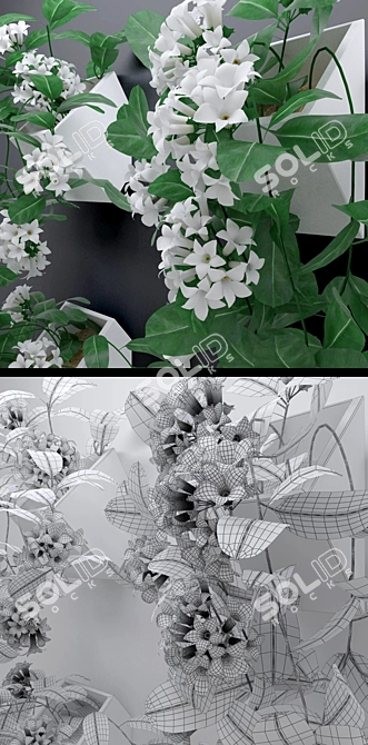 Madagascar Jasmine: Lush Blooming Vine 3D model image 3