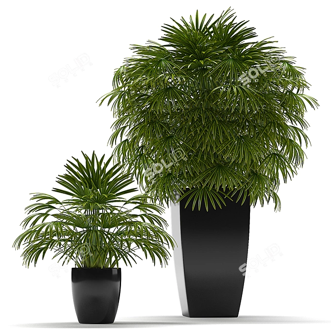 Tropical Breeze: Fan Palm 2 3D model image 1