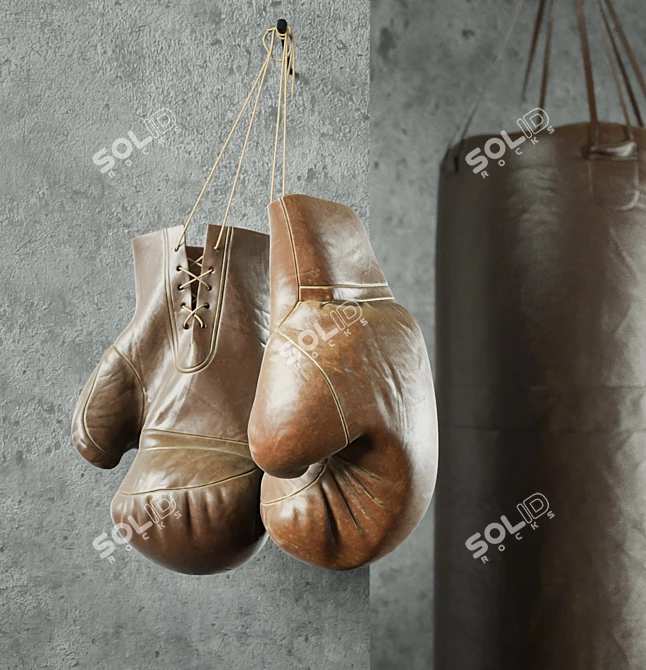 Title: Ultimate Boxing Champion Set 3D model image 1
