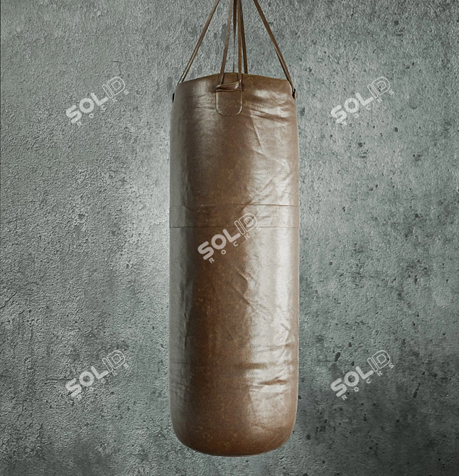Title: Ultimate Boxing Champion Set 3D model image 2