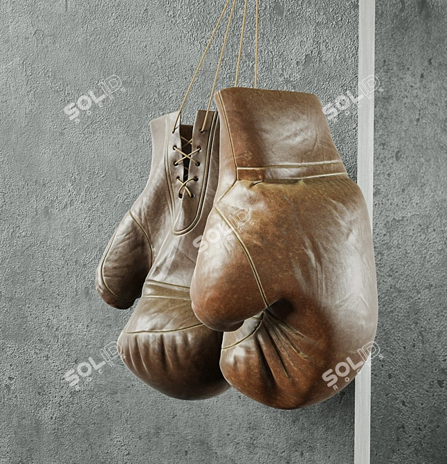 Title: Ultimate Boxing Champion Set 3D model image 3