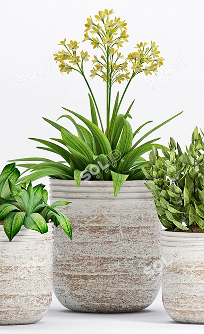 Botanical Bliss: Decorative Plant Set 3D model image 3