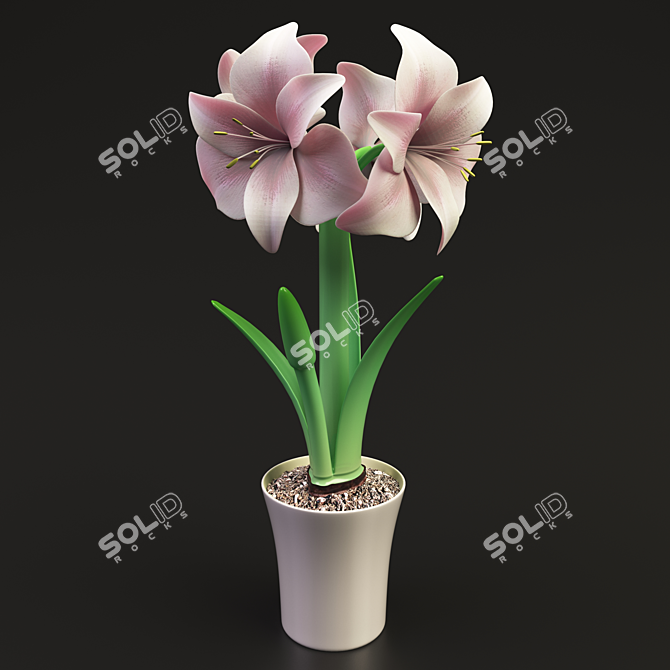  Elegant Hippeastrum Flower: 47.5 cm Tall 3D model image 1