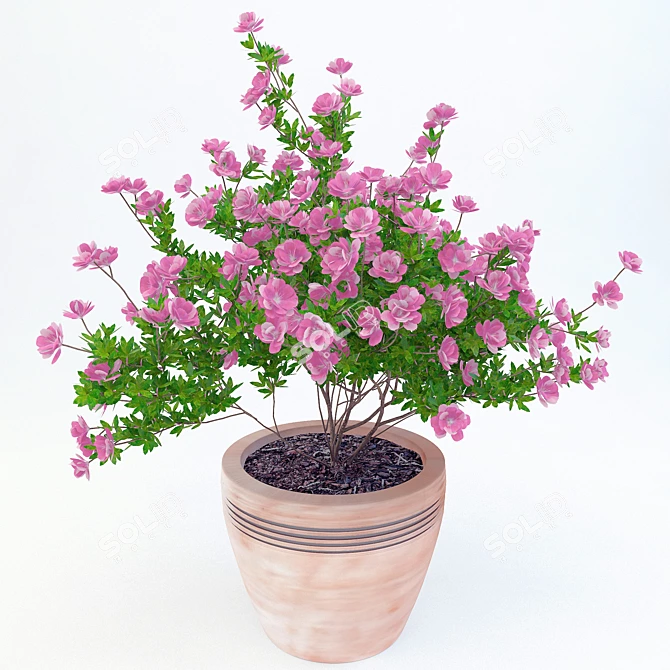 Title: Vibrant Azalea Potted Plant 3D model image 1