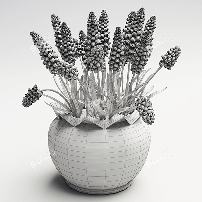 Vibrant Spring Muscari Flowers 3D model image 2