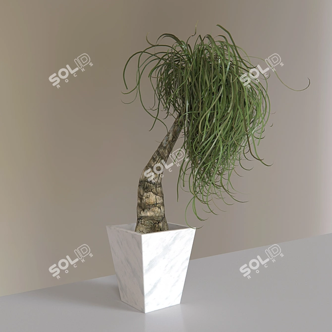 Lush Ponytail Palm - Perfect for Indoor Decor 3D model image 1