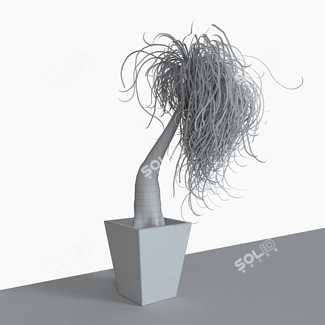 Lush Ponytail Palm - Perfect for Indoor Decor 3D model image 2