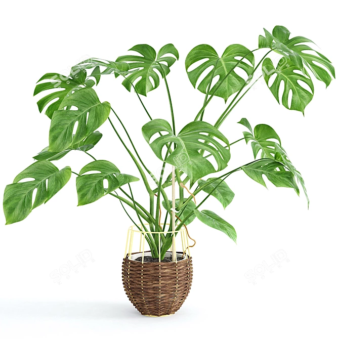 Tropical Paradise: Monstera Leaf Sculpture 3D model image 1