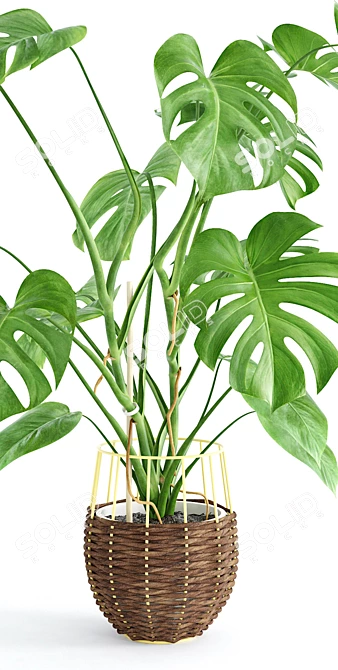 Tropical Paradise: Monstera Leaf Sculpture 3D model image 2