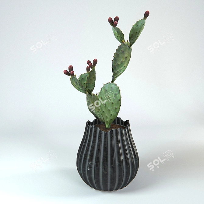 Desert Dwellers Mini Cactus 3D model image 1
