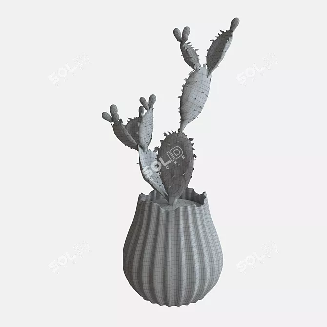 Desert Dwellers Mini Cactus 3D model image 2