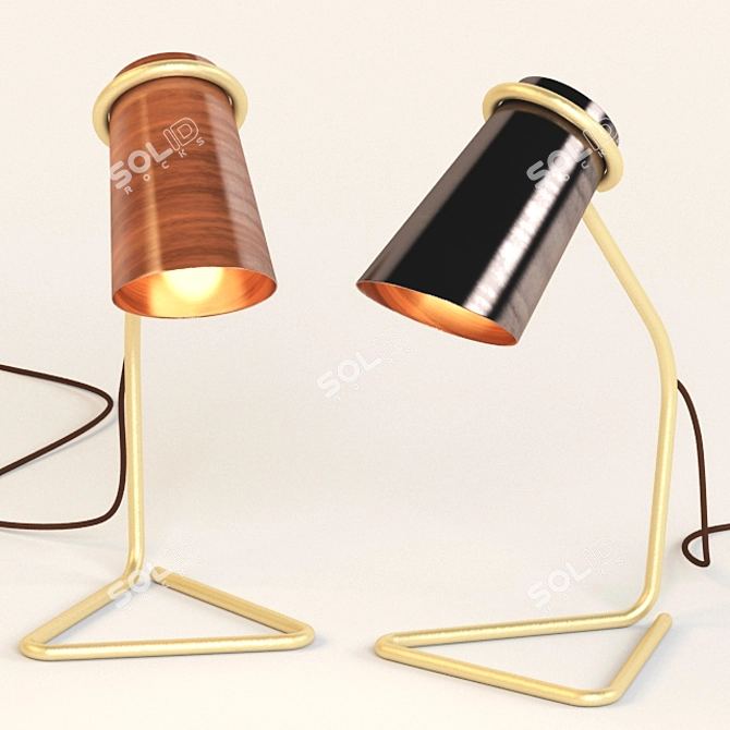 Title: Copper Stand Lamp 3D model image 1