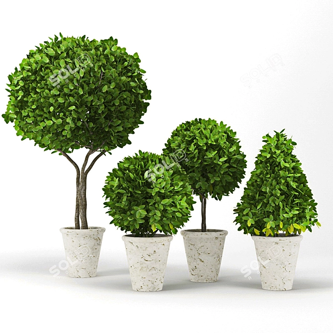 Exquisite Plant Assortment 3D model image 1