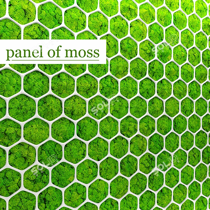 Evergreen Moss Panel: Natural Beauty, Minus the Upkeep 3D model image 1