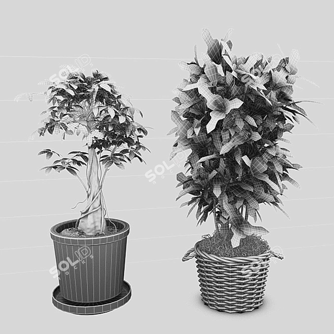 Plantastic Pottery: Botanical Bliss 3D model image 2