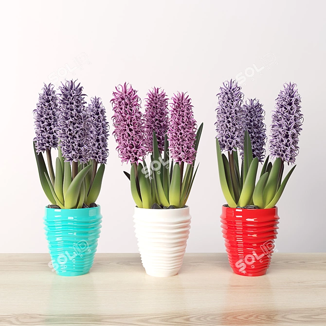 Indoor Beauty: Hyacinth Blossom 3D model image 1