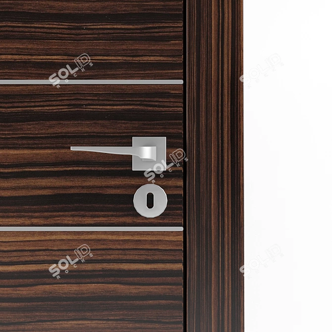 Artis T Zebrano Union Door 3D model image 2