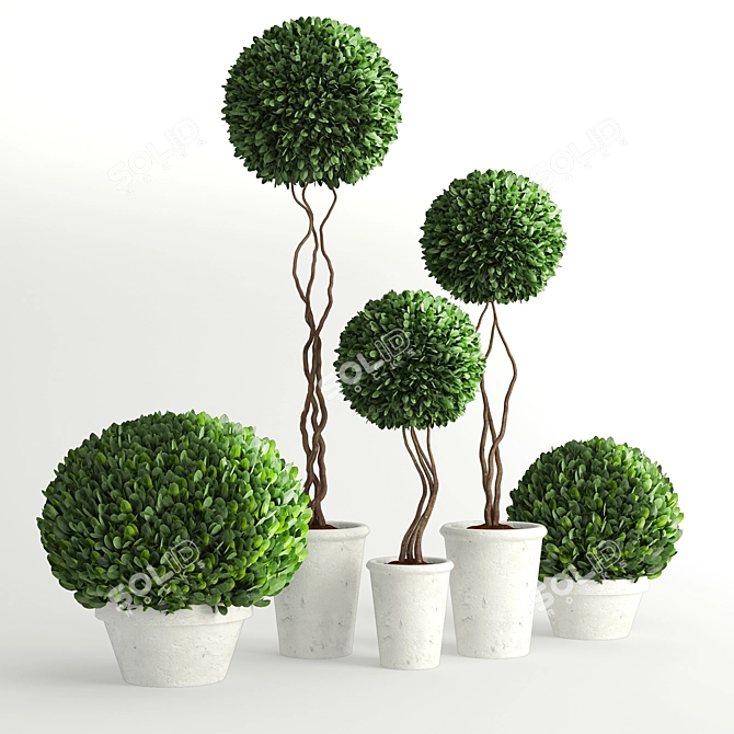 Green Oasis: Botanical Collection 3D model image 1