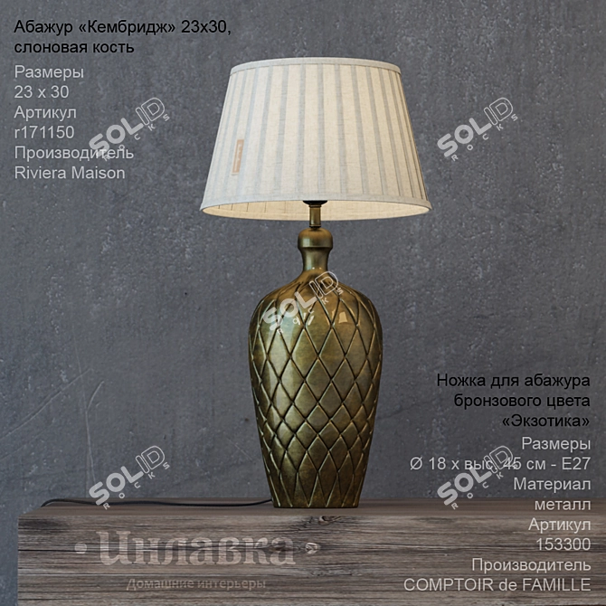 Exotic Bronze Table Lamp 3D model image 1