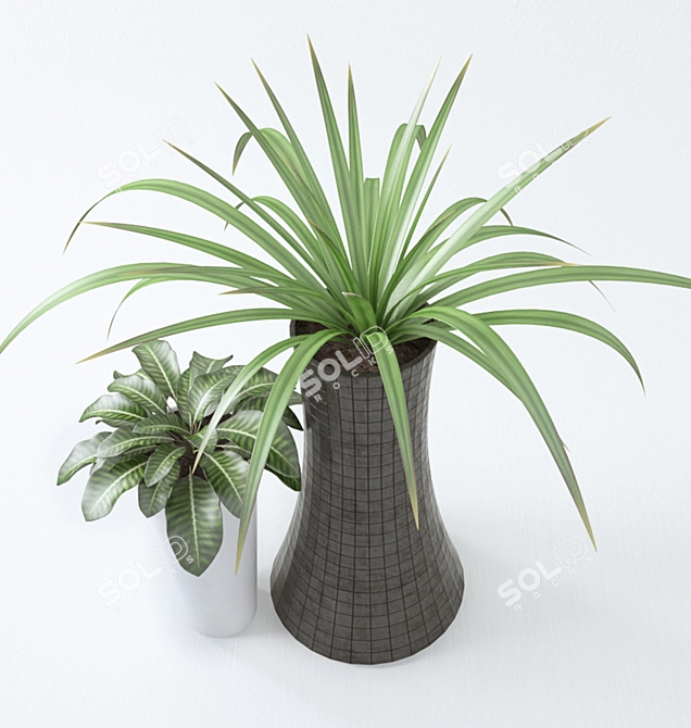  Greenery Duo: Two Plants in Stylish Vases 3D model image 2