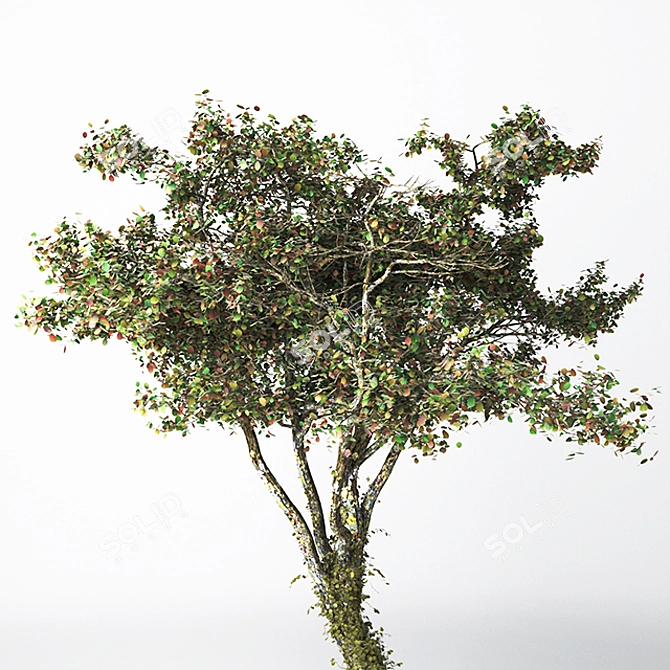 21-inch High Poly Tree Model 3D model image 3