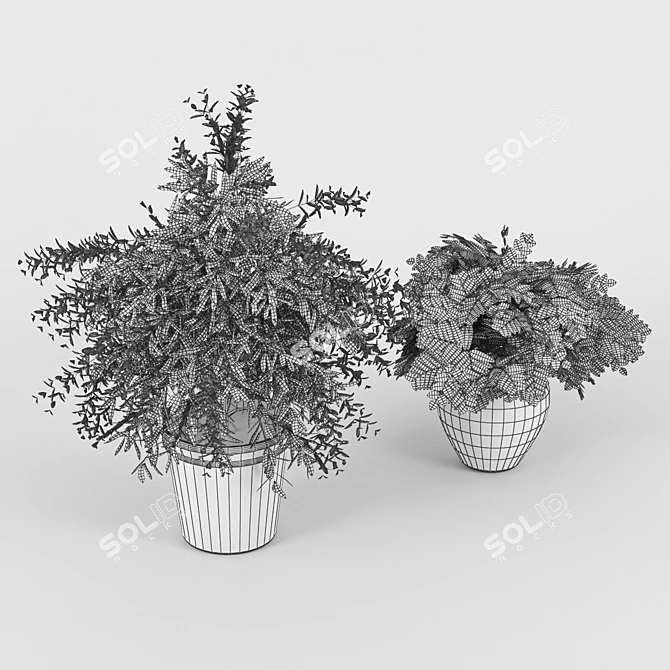 Elegant Floral Collection 3D model image 3