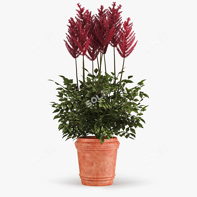 Elegant Astilbe Floral Arrangement 3D model image 1