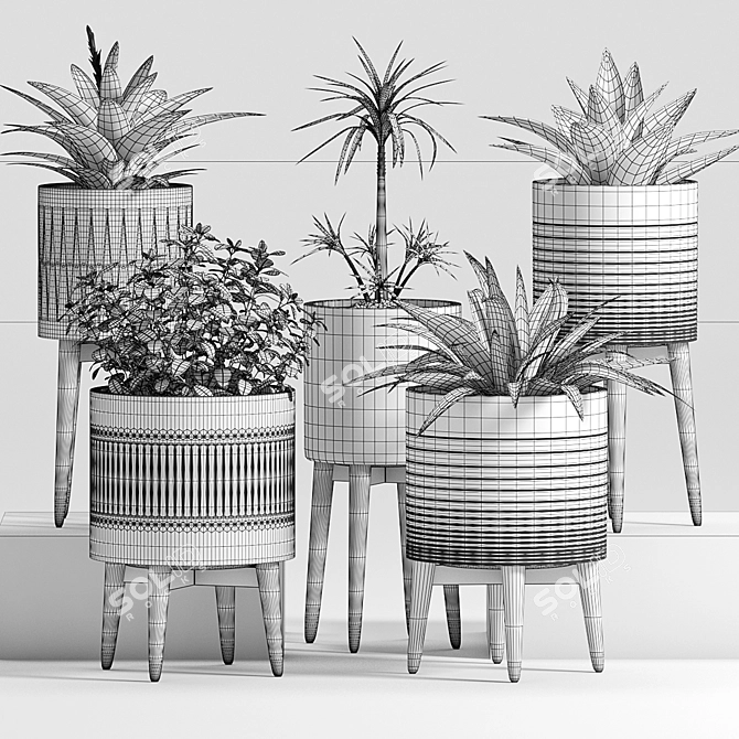 Modern Plant Set - 24 Designs 3D model image 3