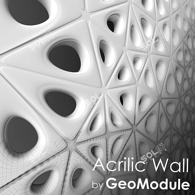 Sleek Acrylic Wall Divider 3D model image 2