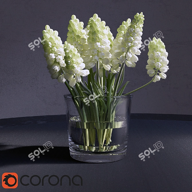 CoronaRender-ready Muscari_Hyacinthaceae 3D model image 1