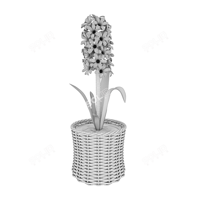 Pink and Blue Hyacinth in Wicker Basket 3D model image 2