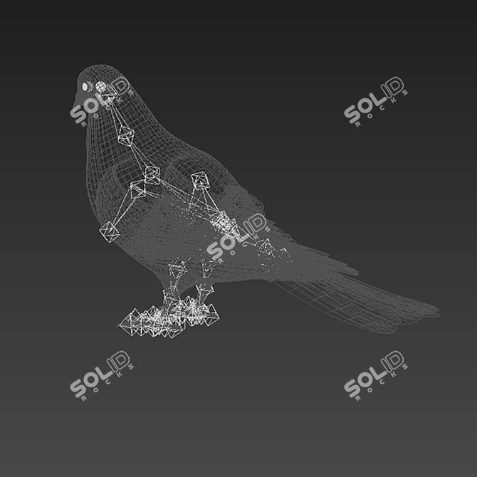 Rigged Dove 3D Model 3D model image 3