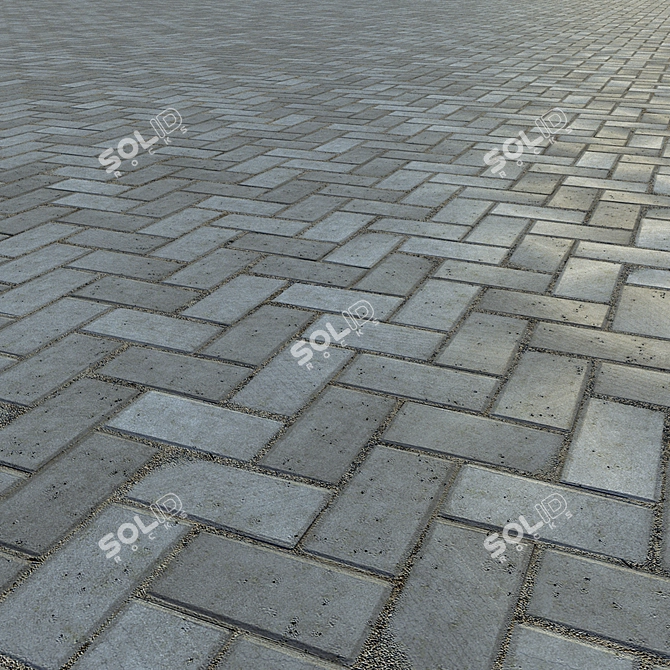 Modern Grey and Red Paving Slabs & Curb 3D model image 2
