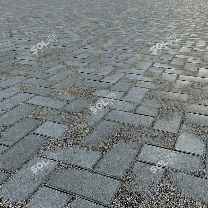 Modern Grey and Red Paving Slabs & Curb 3D model image 3